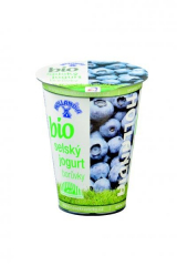Bio yogurt blueberry farm Hollandia
