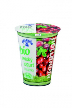 Bio common cranberry yoghurt Hollandia